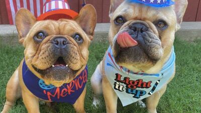 Photos: Viewers share their Fourth of July photos