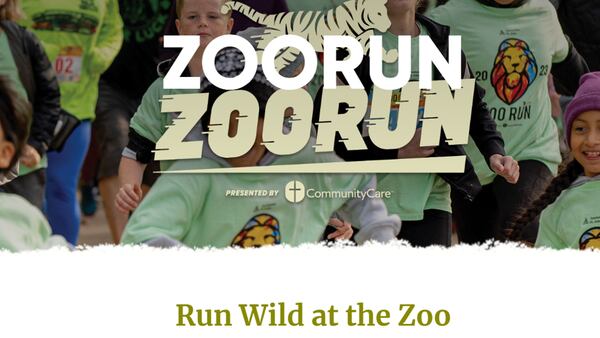 Go Wild at the Tulsa Zoo