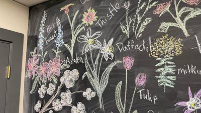 This chalk mural done by Anna Puhl inspired the event